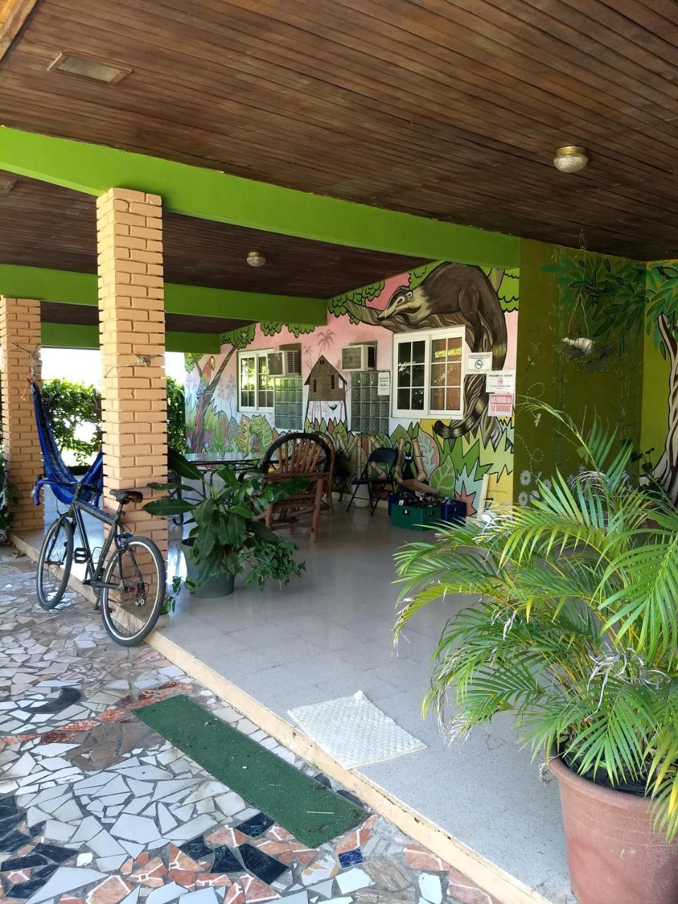 Bambu Hostel Давид Екстер'єр фото