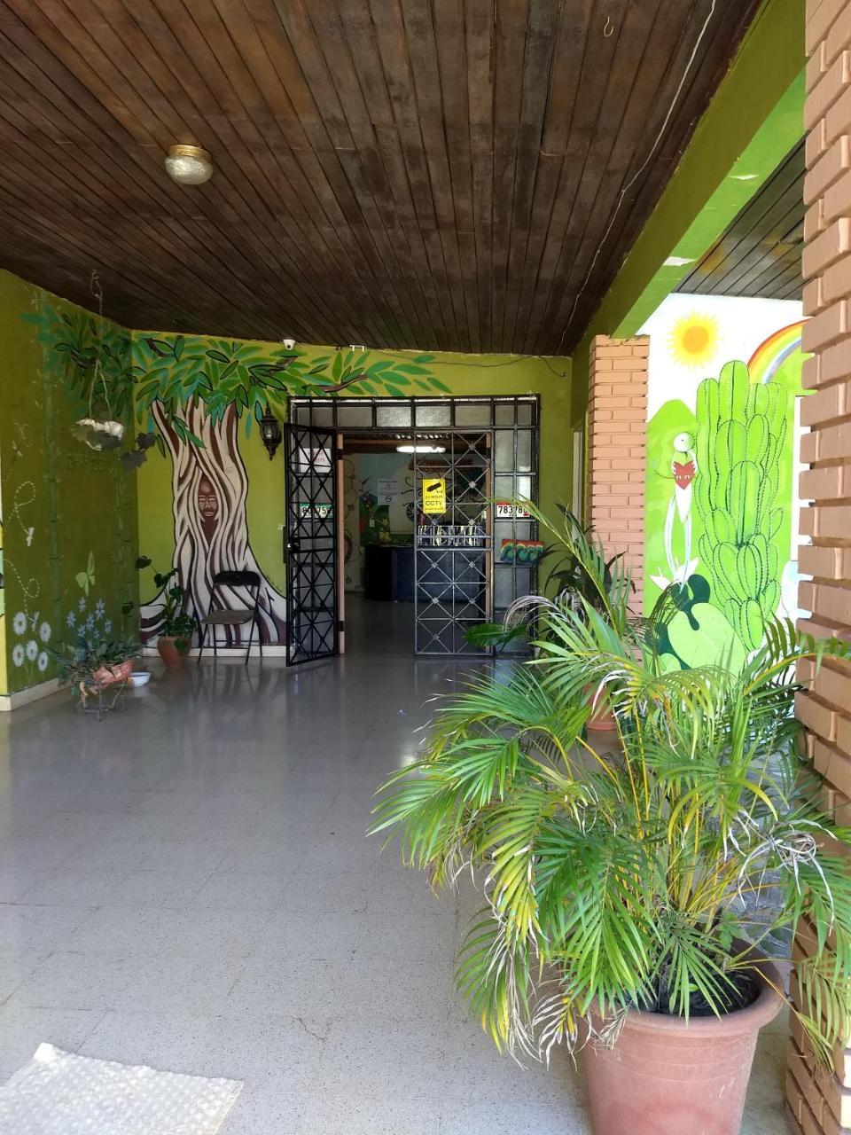 Bambu Hostel Давид Екстер'єр фото